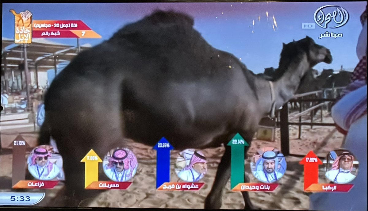 فهد بن حثلين tweet media