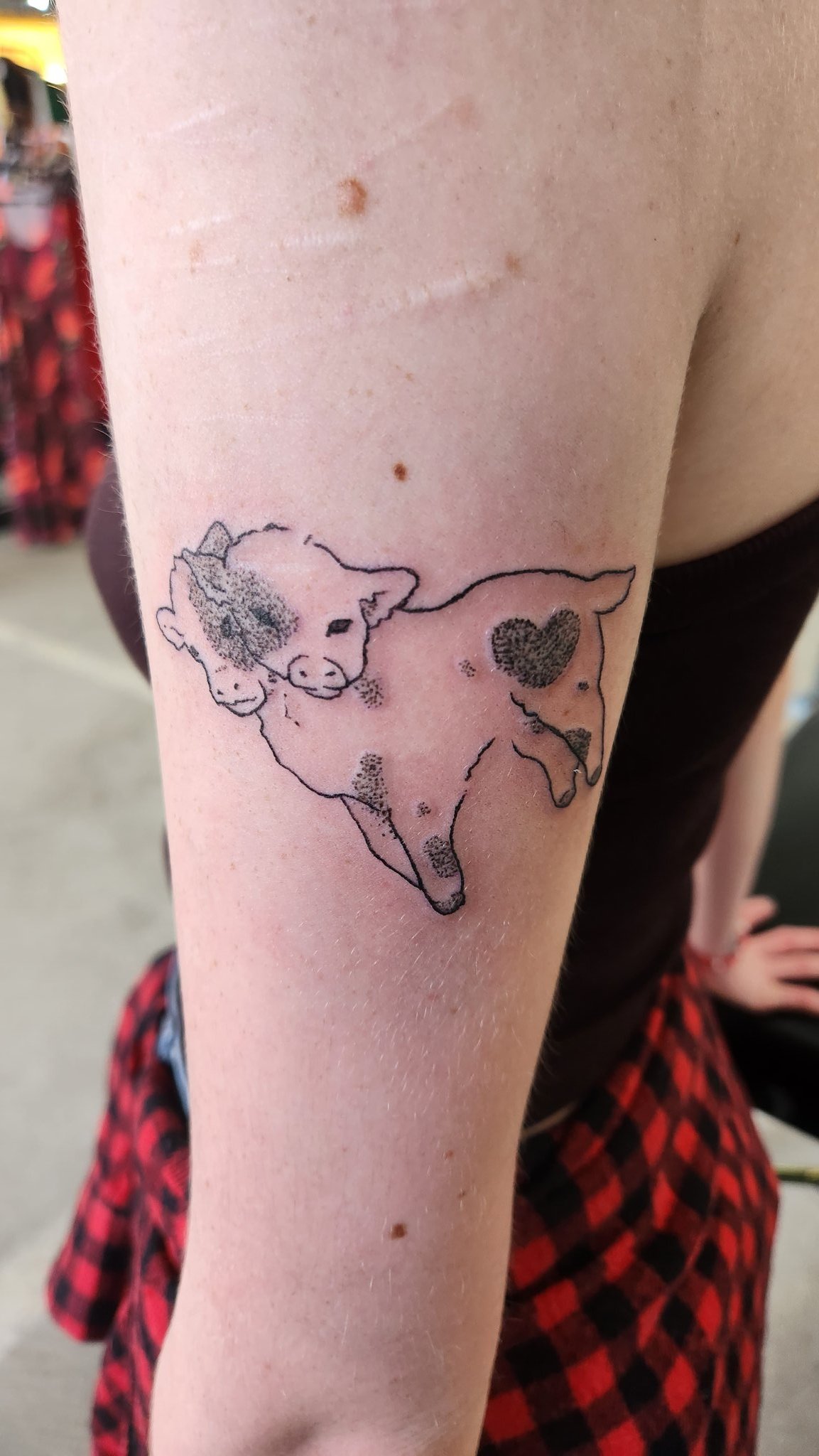 TwoHeaded Calf SemiPermanent Tattoo Lasts 12 weeks Painless and easy  to apply Organic ink Browse more or create your own  Inkbox   SemiPermanent Tattoos