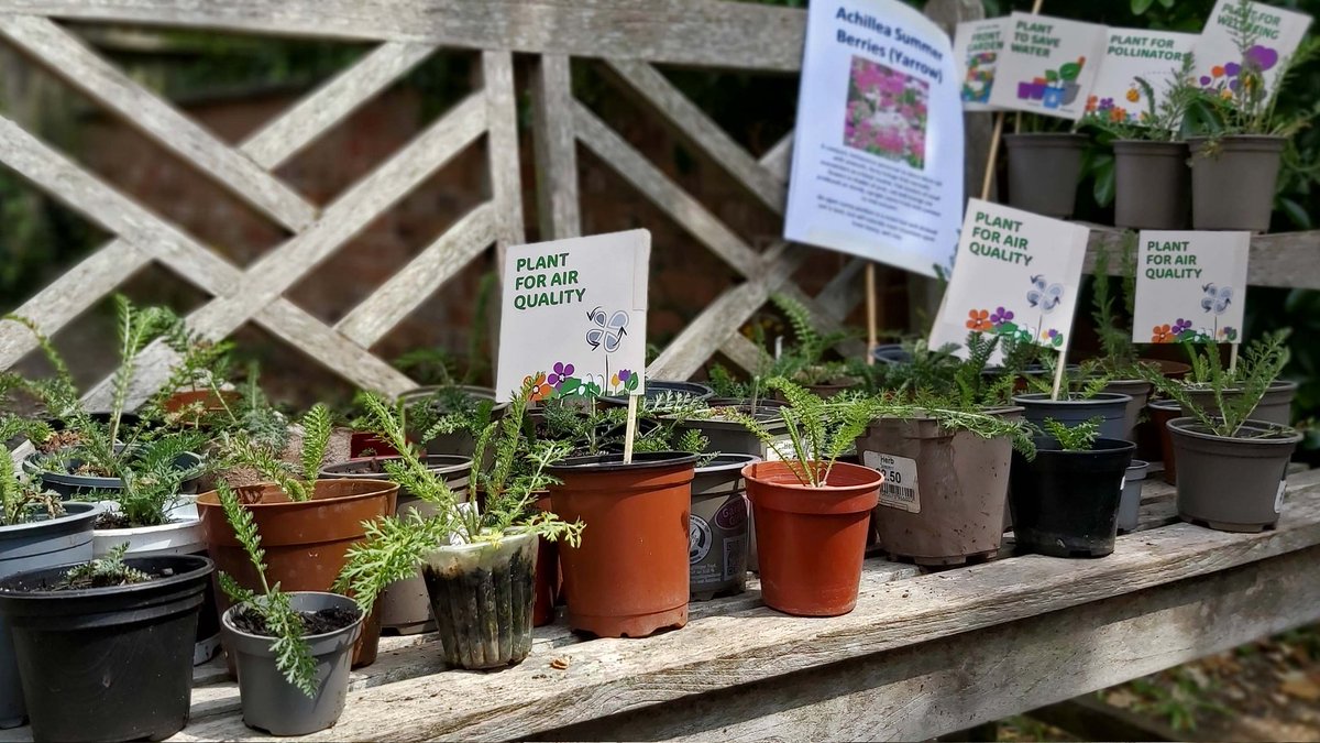 GreenTheGrid's tweet photo. You all helped to make the day a huge success and we look forward to seeing the plants grow in #SouthfieldsGrid gardens over the summer! https://t.co/hUSKMGCv8S