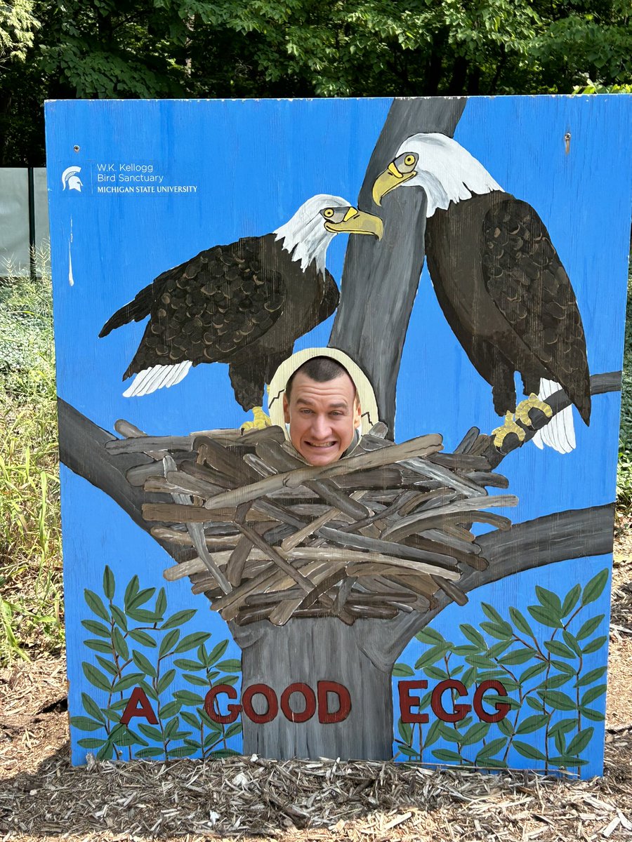 Fun walk at the Kellogg Bird Sanctuary. Found a rose breasted grosbeak and a charmeleon