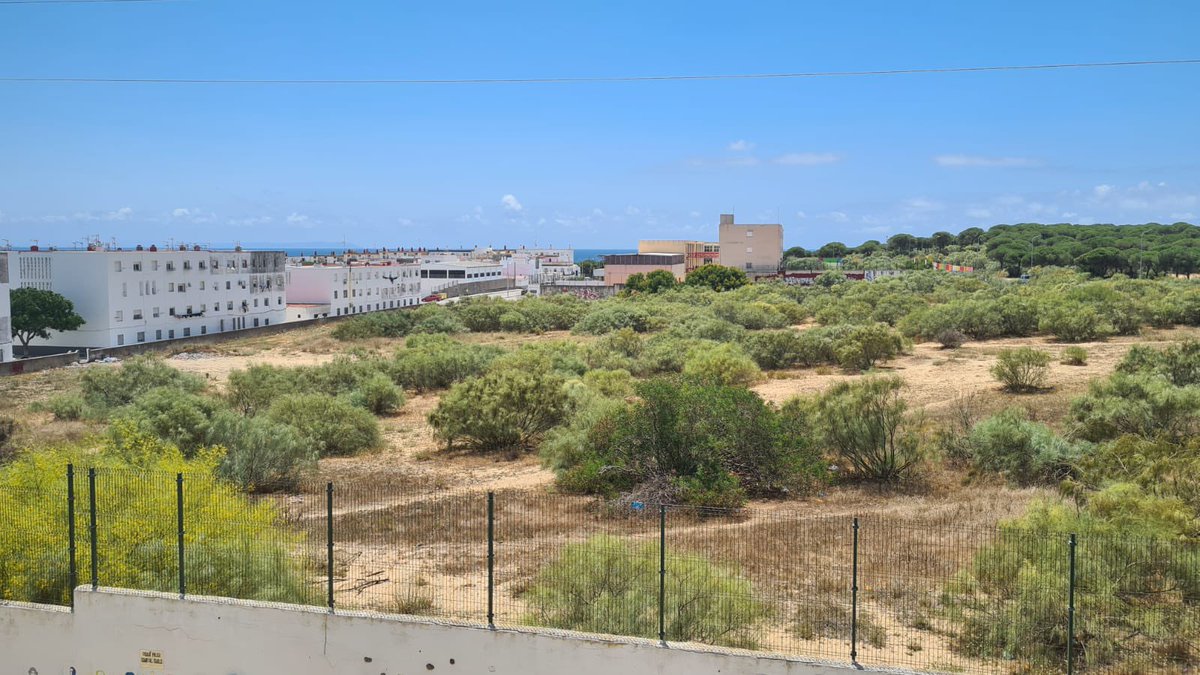 Rocio_DiazJ's tweet photo. La colaboración entre instituciones es clave para sacar adelante proyectos como la urbanización del #Jarillo en #Barbate.
Se ha publicado la licitación para la redacción de esta actuación, donde se promoverá 304 #viviendas, en su mayoría protegidas.
@avrandalucia https://t.co/aR9ZD7soXY