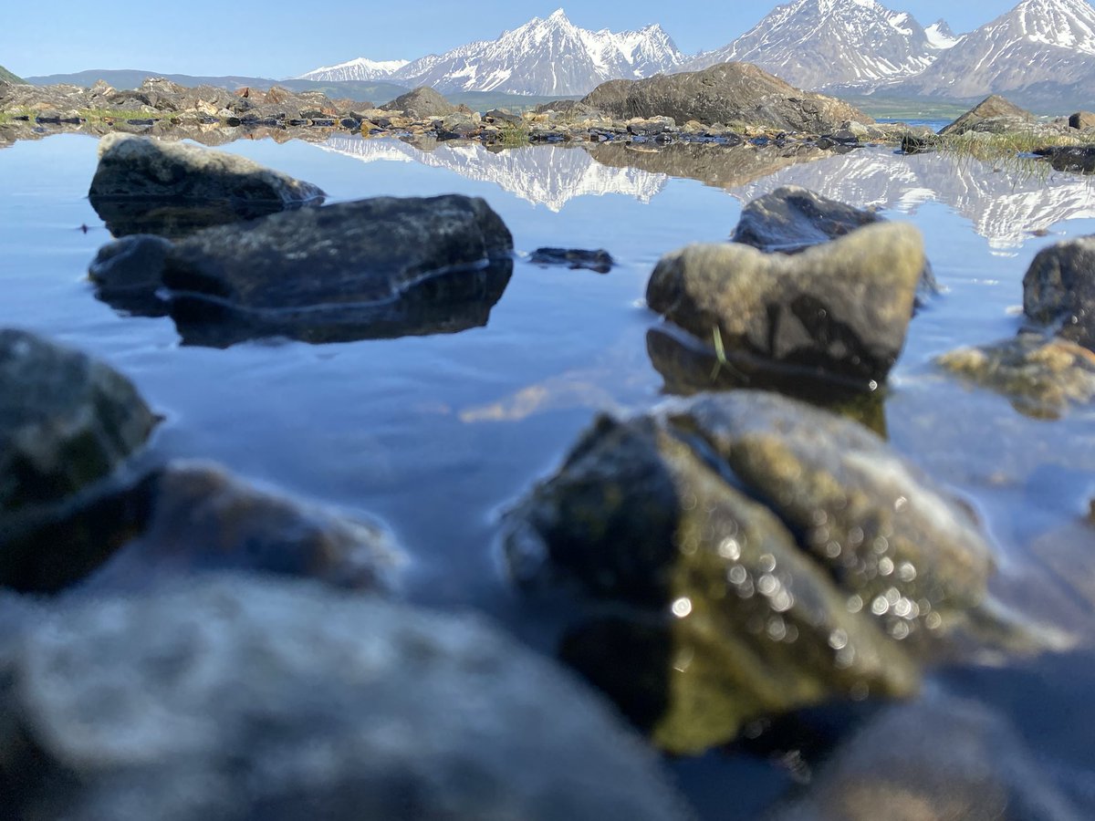 A sunny day in skarmunken 19°C

#photography #memories #PictureOfTheDay