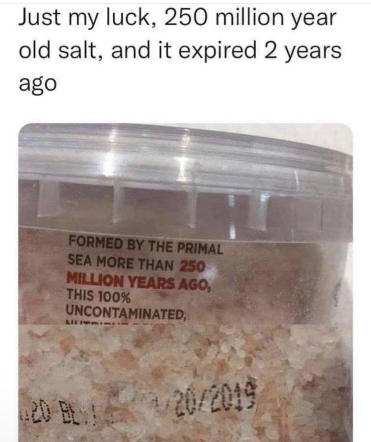 [Image: Fy6ashPXsAIP2K9?format=jpg&name=large]