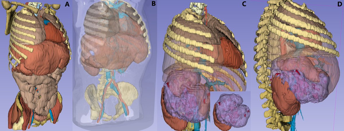 Mark Ryan tweet media