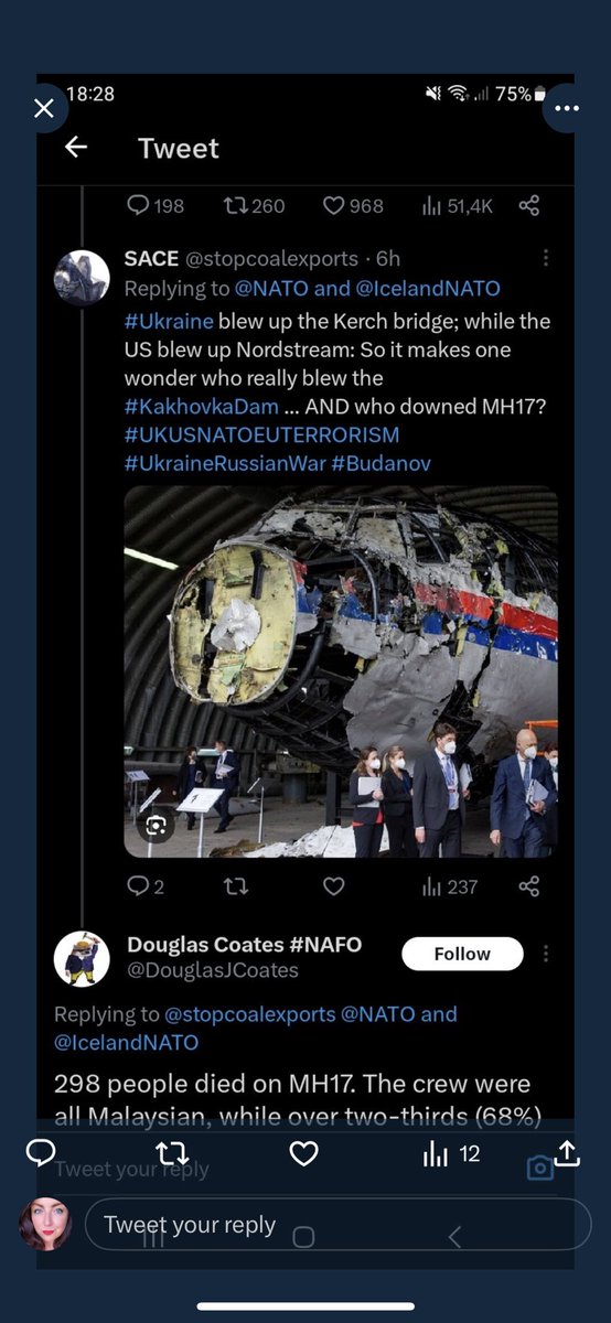 Oh they fckin didnt!!! MH17 was downed by ruzzia!