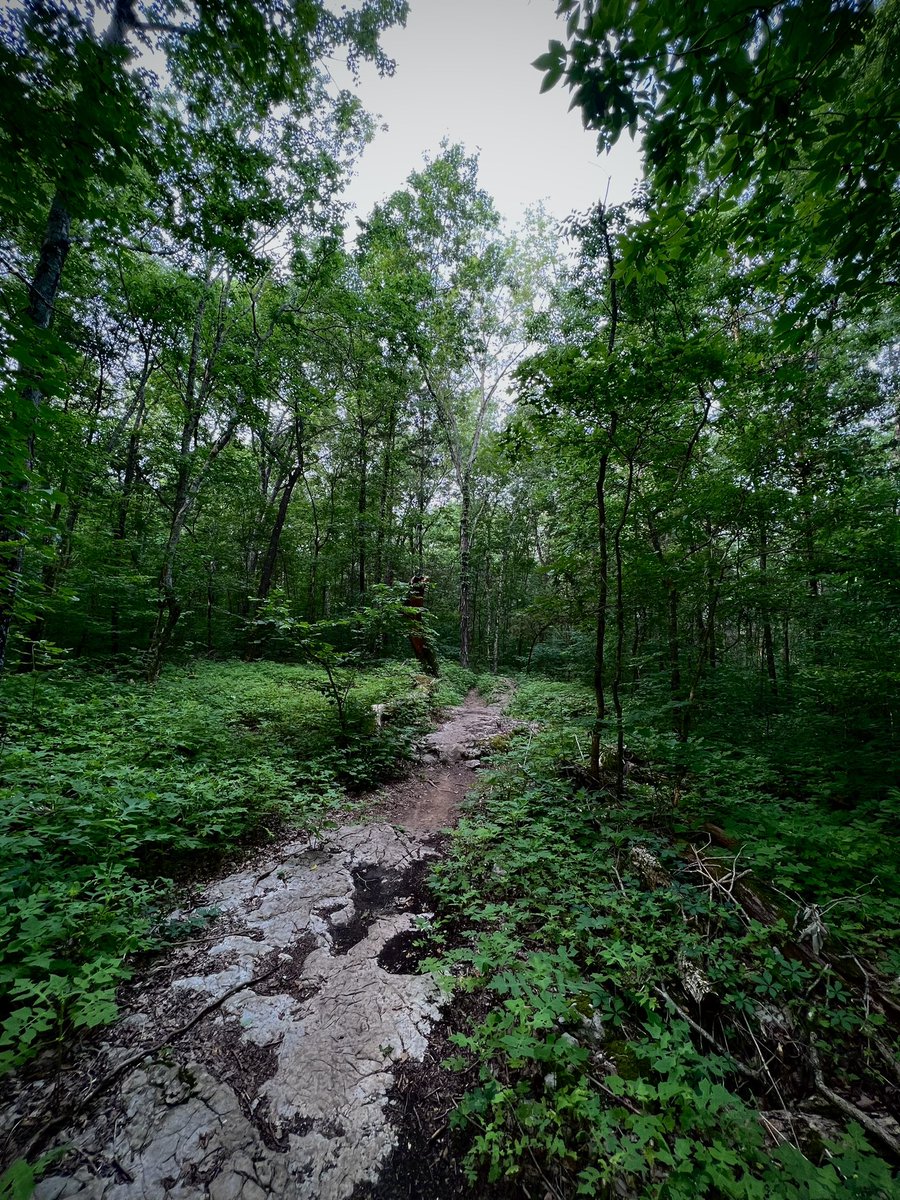 mac_cheeves's tweet photo. 🏃🏻🌳🐍🕸️👊🏻

🎶 @forresure #summerlove https://t.co/S7snBs0yMg