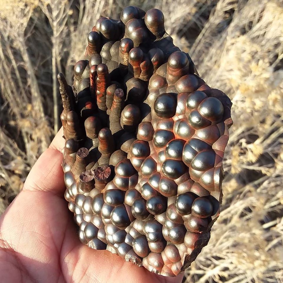 Botryoidal & Stalactitic Hematite from Socorro County, New Mexico  

Photo: TaosRockers 

 #minerals #crystals