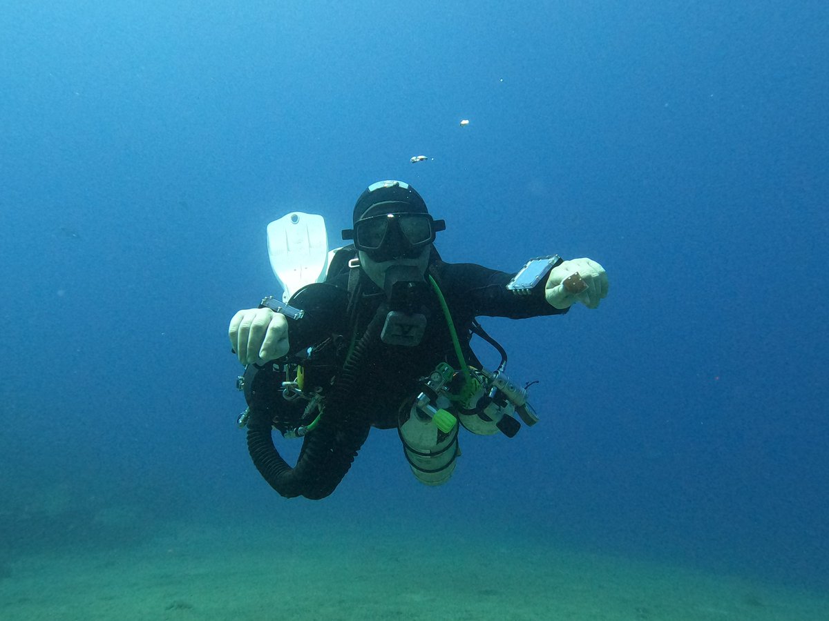 LanzaroteDiveCentre tweet media