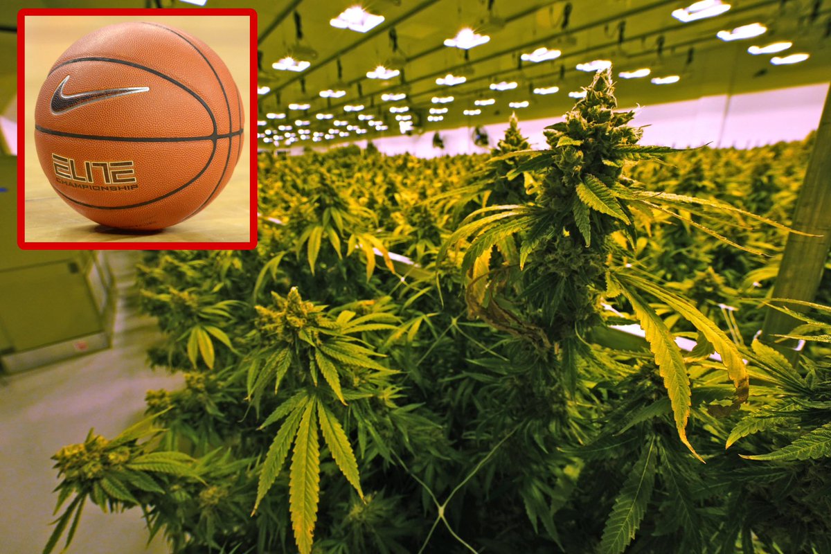 NCAA committee recommends dropping marijuana from banned drug list for college athletes