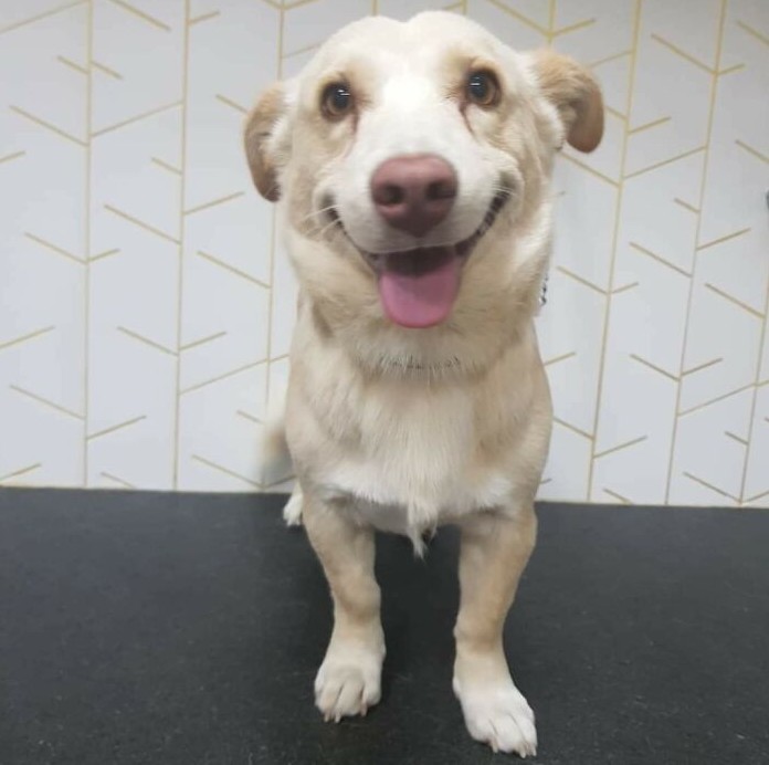 Lowest Prices of the Season + Exclusive Coupon - mailchi.mp/petmountain/11…