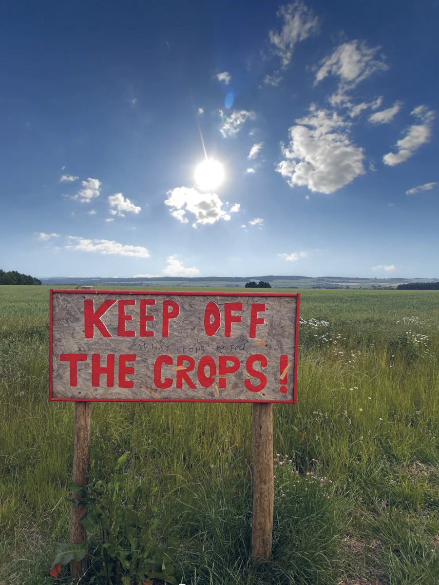 Diddly Squat didn’t disappoint 🍺 #diddlysquat