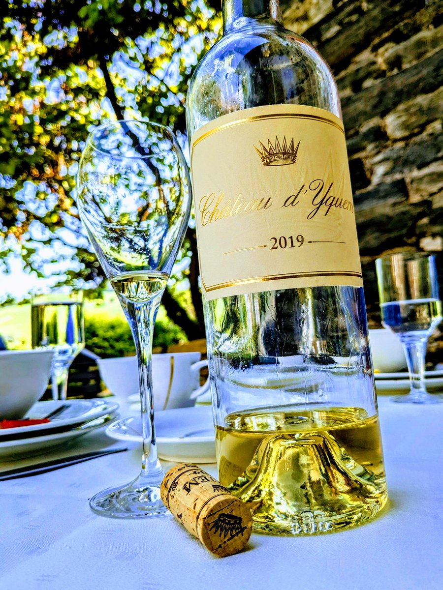 A young Yquem that came on tour to the Mosel and was enjoyed over 3 breakfasts, exploring many diff pairings and serving temps. 

Luxurious no doubt. But also fascinating on a culinary level.