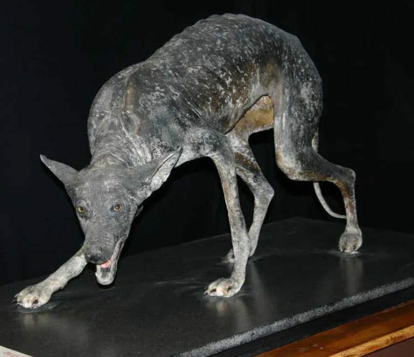 Photos of Bloody Mary and the taxidermy chupacabra discussed in our new episode!! 

Episode 95 all about urban legends is out now! 

#podcast #deadtotheworld #urbanlegens #stories #newepisode #sunday #listennow #spooky #podcastrecommendation #indiepodcast #new