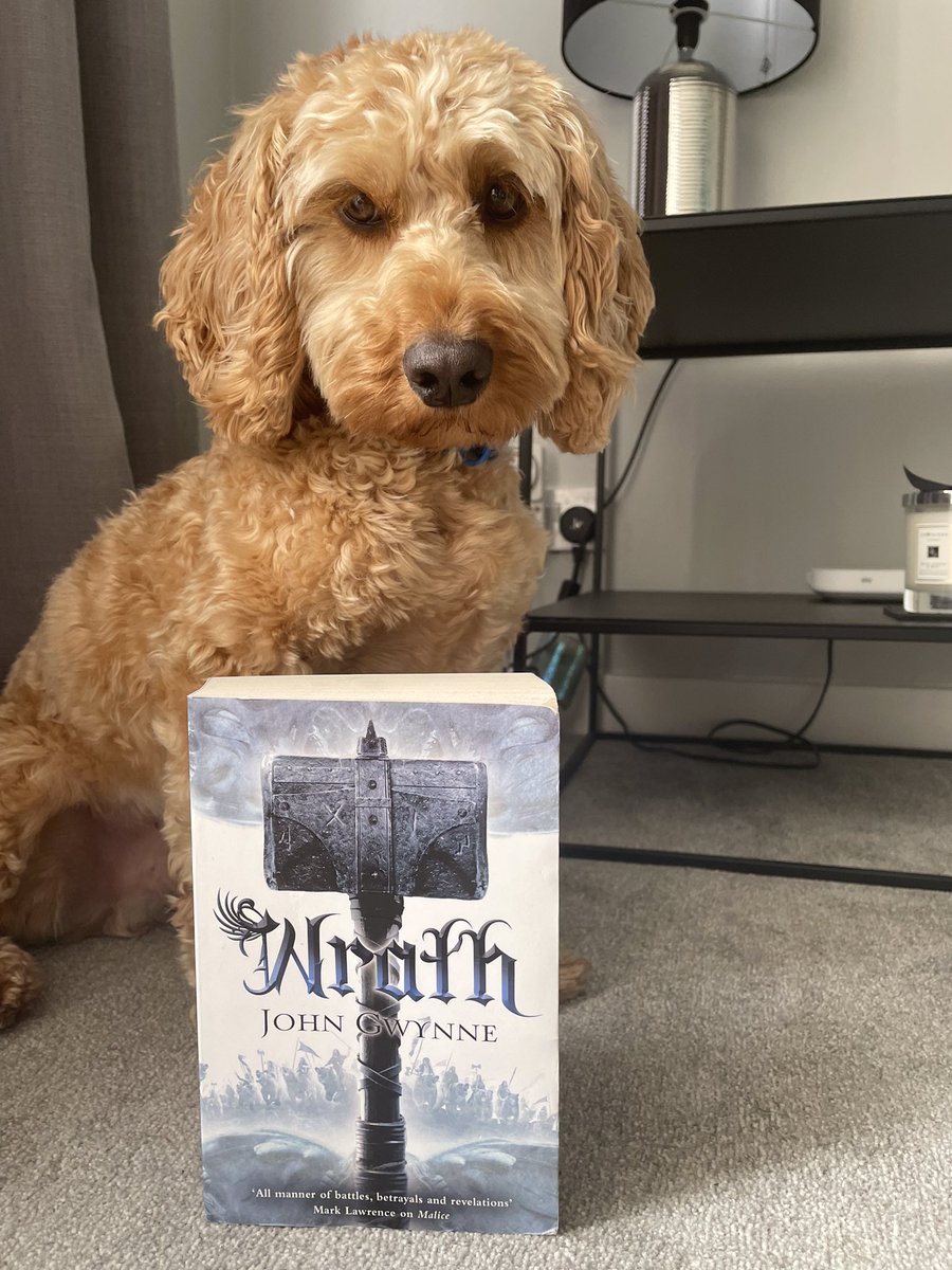 Marc54inc's tweet photo. @Mark__Lawrence Bertie is one of Britain’s furriest @Mark__Lawrence fans but is working his way through some @JohnGwynne_ on this warm Sunday afternoon https://t.co/2l9PNakplp