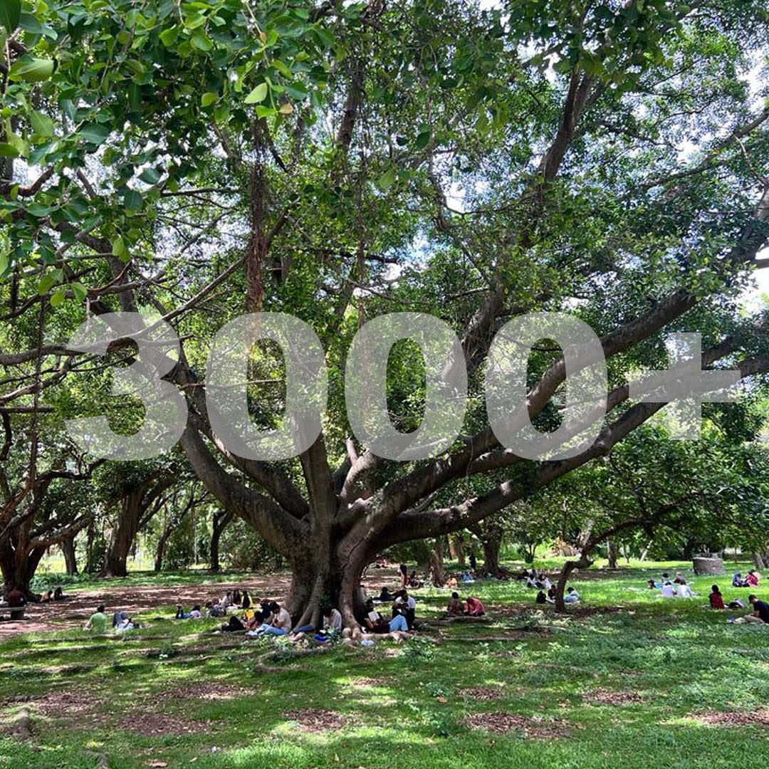 We’re now a community of 3000+ readers! ✨ Grateful for every page turned, and every reader who joined us on this reading journey! Thank you for being part of our thriving reading community. 🤍📚