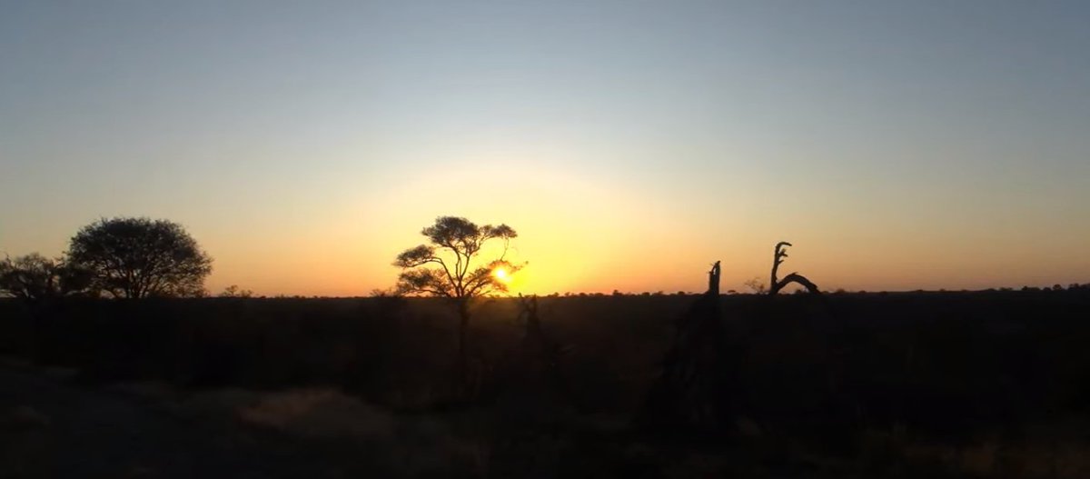 Yet another pretty @EcoTraining Pridelands sunset @WildEarth #WildEarth