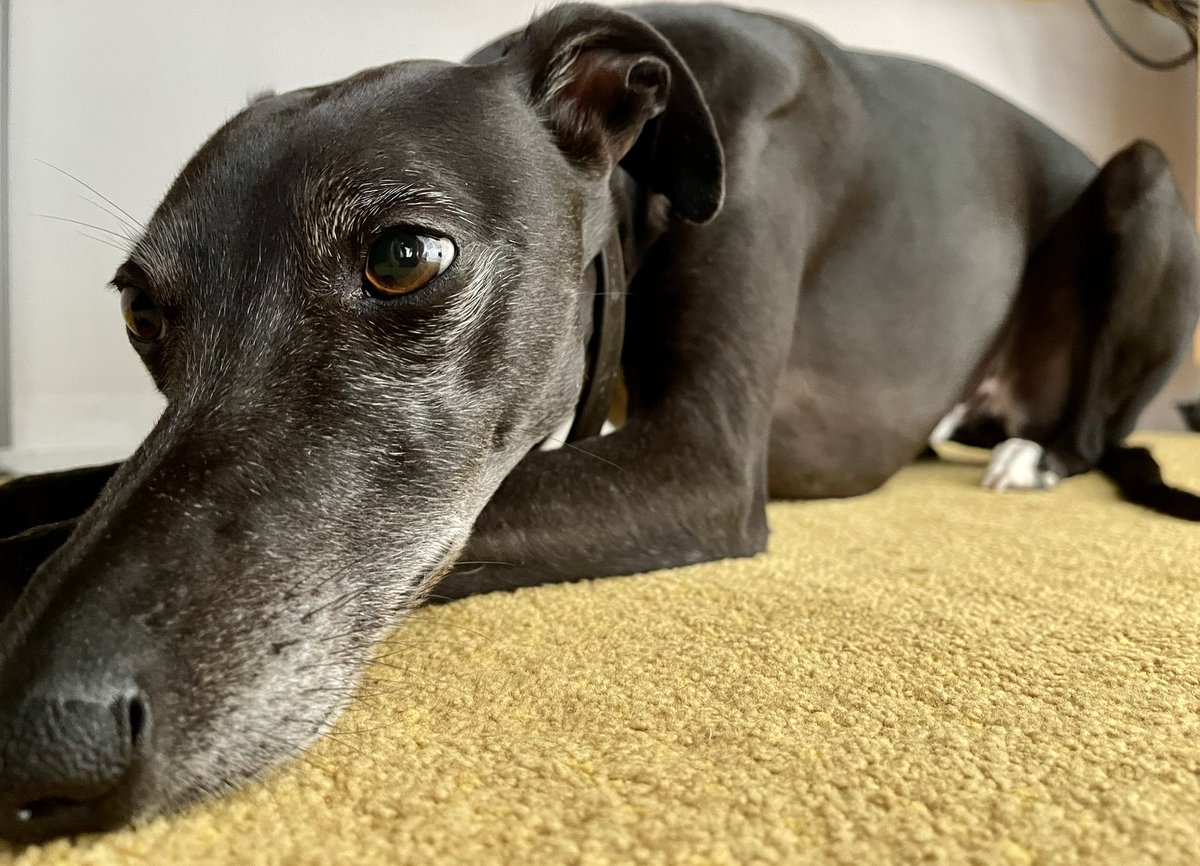 Gary Smith tweet media