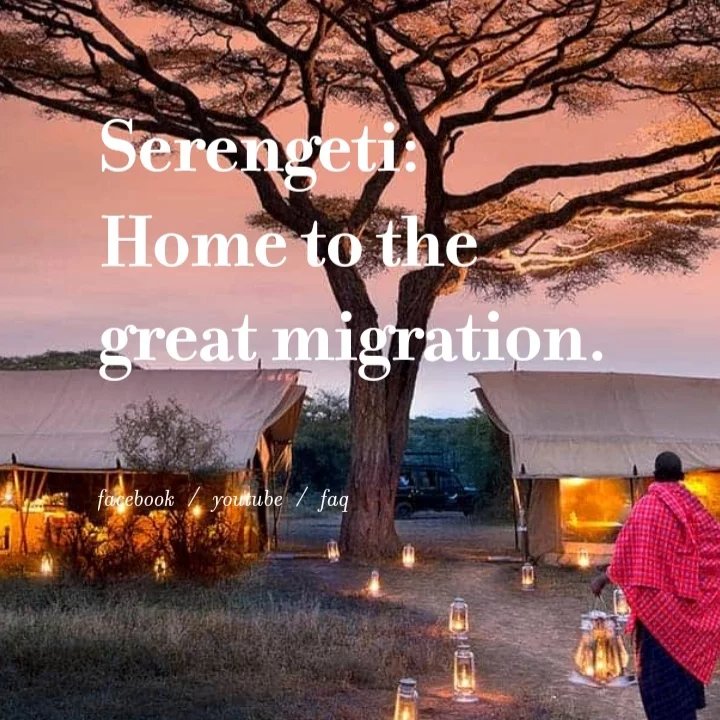 AgamaTours's tweet photo. A little about serengeti national Park https://t.co/jjq6aD5K26