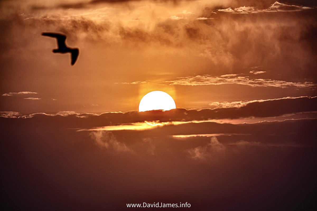 Beautiful Father's Day sunrise in Galveston!