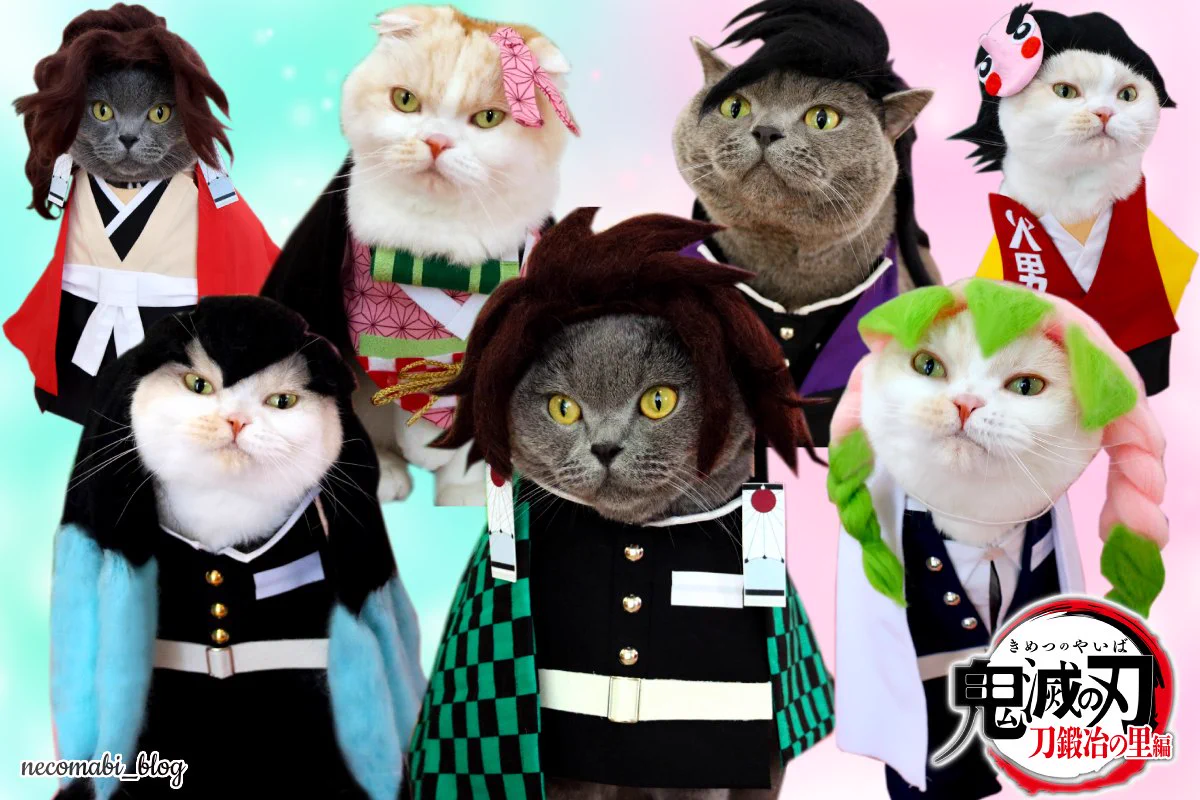 @kimetsu_off 刀鍛冶の里編の最終回もサイコーでした🙌🙌💕
ありがとうございました‼️
明日から鬼滅ロスです(泣)
『柱稽古編』早く見たいです📺🎶 