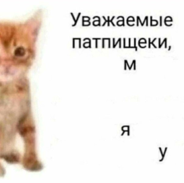 то как я смачно забила на твиттер 🤌

держите ссылочку на тг канал, я там куда активнее t.me/amariaris