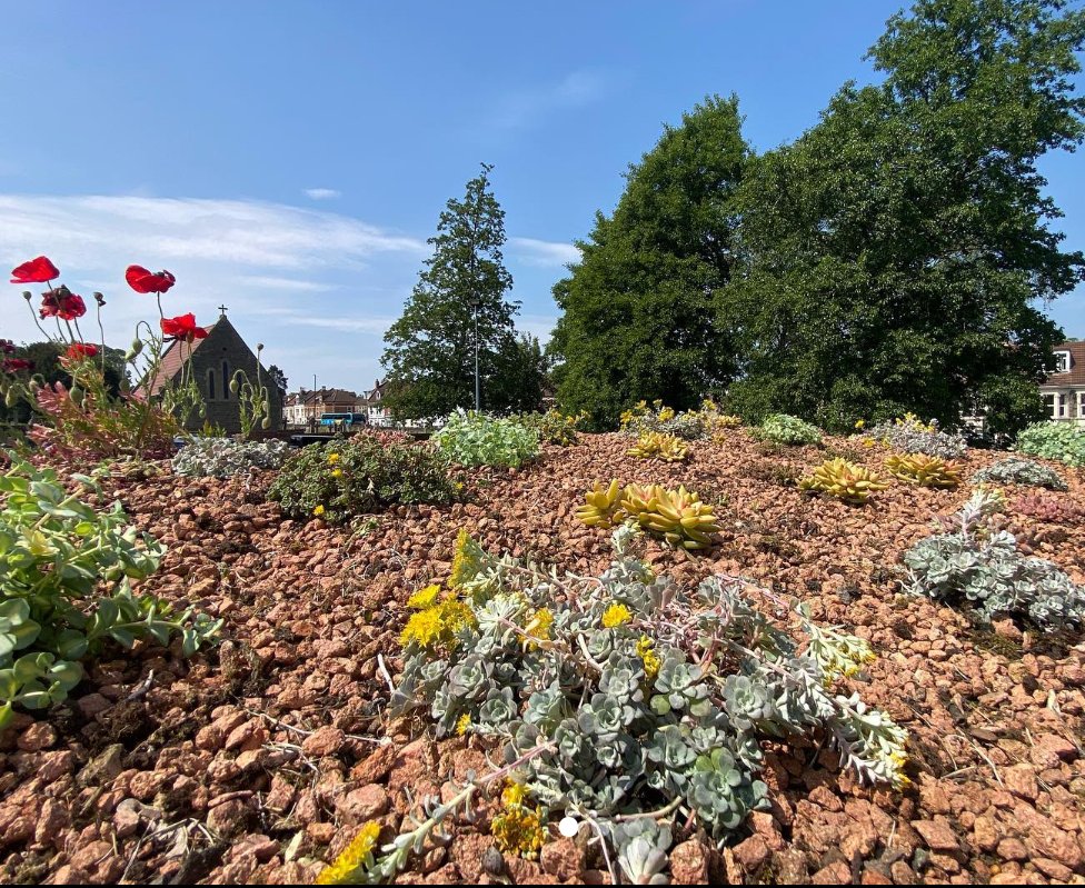 As the temperatures rise, we like to use a little sedum planting for those tricky arid spots. 

On one of our sites, an exposed smoking shelter gets a little sedum roof covering to soften it within its surroundings.
#greenroofs