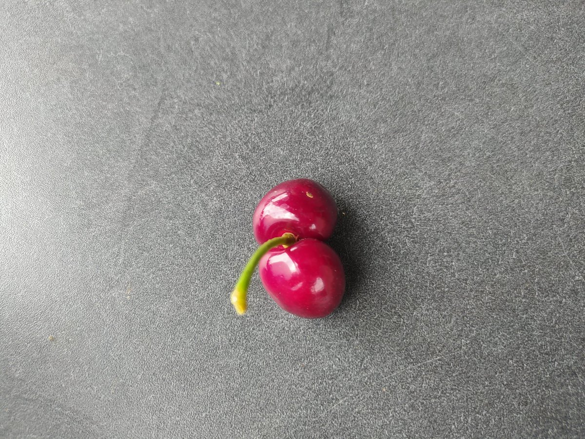 strubbi77's tweet image. Nach zwei Eimern Kirschen,  mal was anderes zum Essen. #kirschbaum