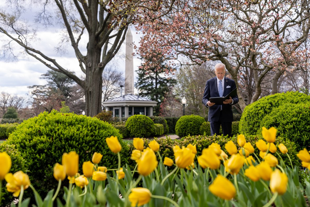 WhiteHouse46's tweet photo. White House Fact: Inspiration for the Rose Garden came from President Kennedy in 1961.

Upon returning from a trip to Europe, he noted that the White House had no garden equal in quality to those in Europe. He recognized the importance of gardens around an official residence. https://t.co/t5jwWIpBiM