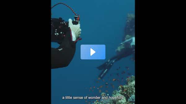 mj_mossa's tweet photo. Dive into a world of color 🌊🐠

Discover how spectacular corals and breathtaking marine life come together to create something magical at #NEOM 📸🐡
 https://t.co/vbSjqsaOTU https://t.co/aN3WnSHp92
