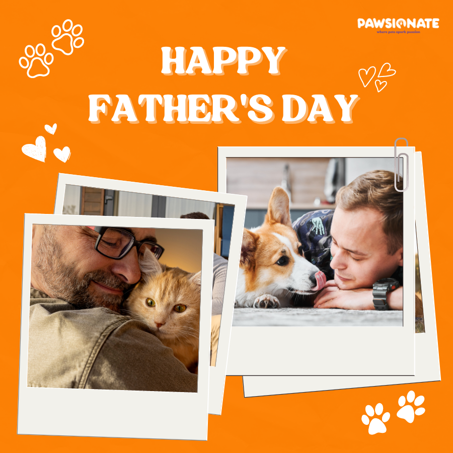 pawsionatecom's tweet image. 🐾 Happy Father's Day to the pawsome-est dog dad in the universe!

#pawsionate #FathersDay #customizedgift #petlovers