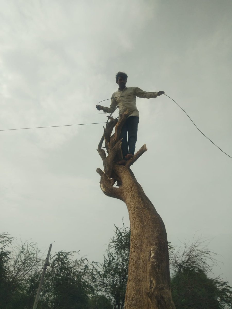 BSNL_GJ's tweet photo. Once again #BSNL has proved to serve the Nation specially in difficult time. Exceptional works being carried out by BSNL Bhuj and Palanpur Team along with CNTX West ( WTR) Team for restoring the BSNL Service after #BiparjoyCyclone. @BSNLCorporate @CGM_GUJ_BSNL @CMDBSNL https://t.co/2AuH3OfNKe