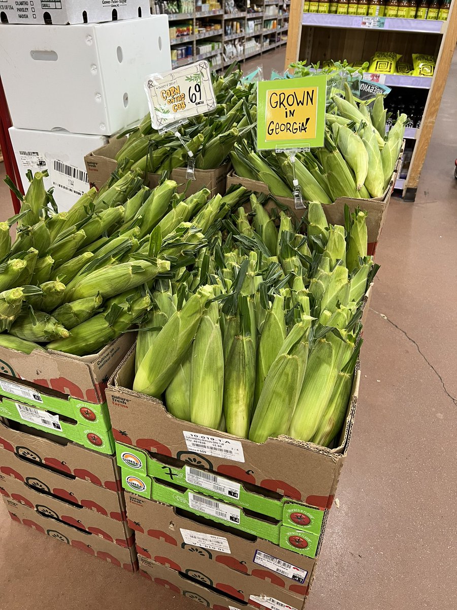 HankWH's tweet photo. Some call me The Corn Whisperer, but really, I’m just the in-house barber at The 509 Trader Joe's-West Newton,MA on Saturdays and every other Sunday! Just taking a little off the ears! (See what I did there?!!!) #CornyDadJokes #workingman #NoFarmsNoFood https://t.co/YLE8ZS9eJN