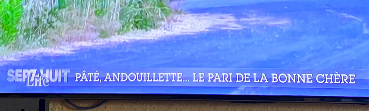 SophBabica tweet media