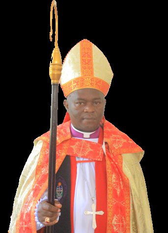 Freeman Alex tweet media