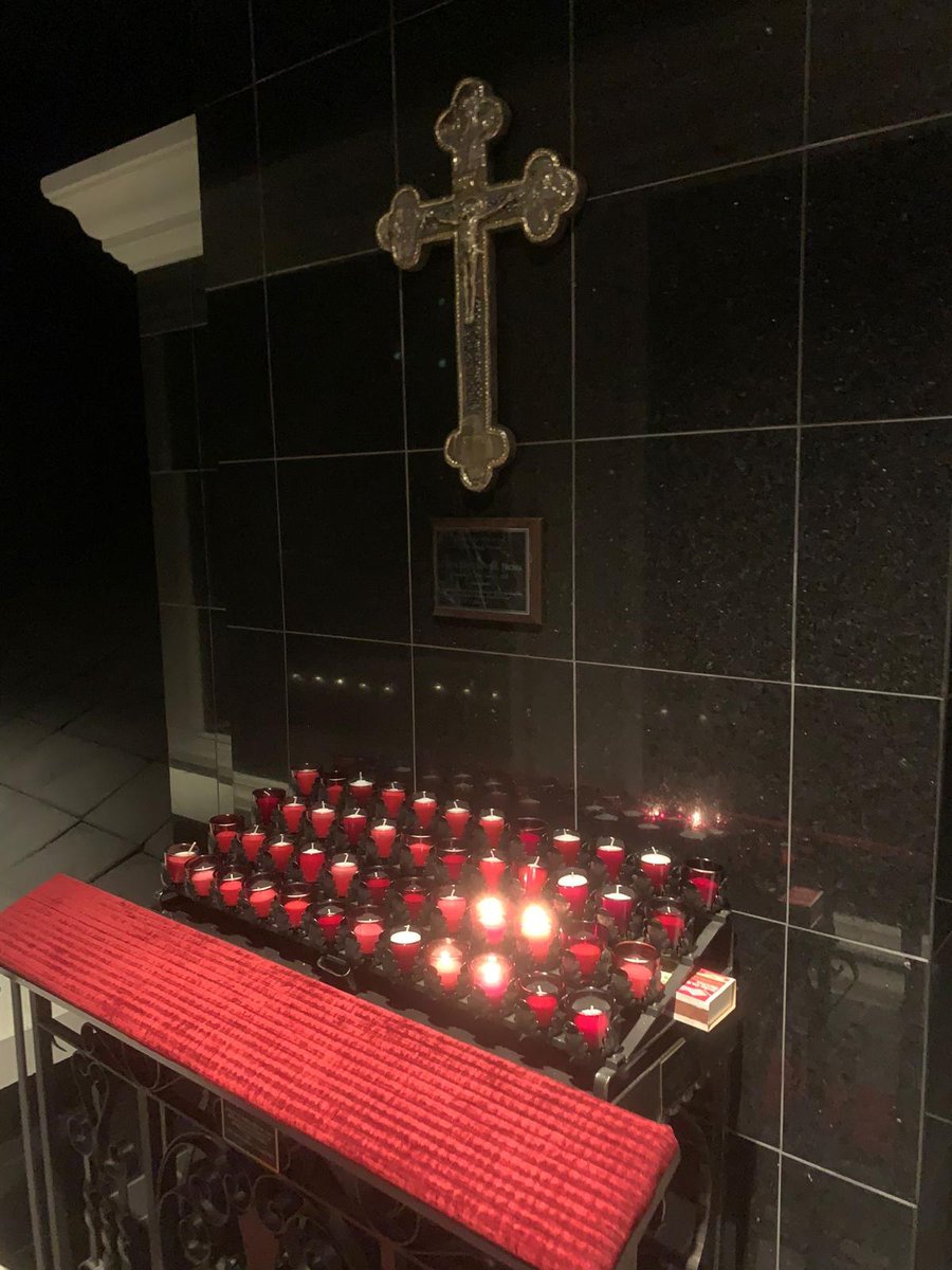 Freeman Alex tweet media