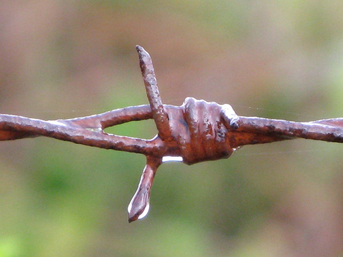 'Protected'
A collection of barbed wire photos curated over the span of 15 yrs traveling the world.
No editing is done to any of the photos.
On @opensea

buff.ly/3X5nNAO 

#Web3 #NFT #ART #photography 🙏
#NFTArt
#DigitalArt
#BlockchainArt
#NFTCommunity
#EmergingArtists