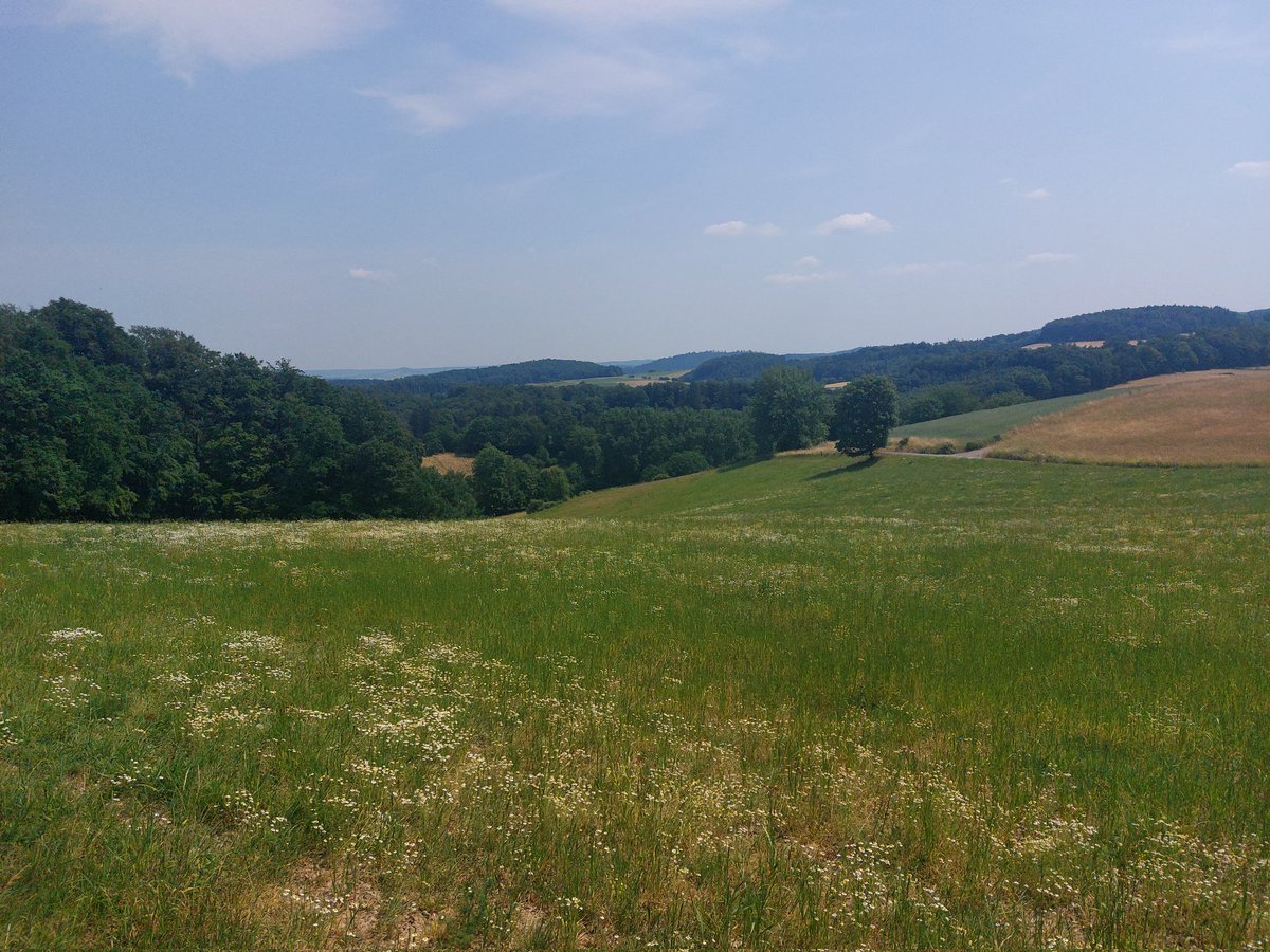 travelthommi's tweet photo. Heute gab es bei 30 Grad im #Odenwald eine #Weitsichtwanderung um das #Modautal. Trotz der Wärme haben alle Mitwanderer viel Spaß gehabt. So haben wir uns alle die Abschlußeinkehr im #HottenbacherHof wohl verdient. https://t.co/l2XW4T9Rh2