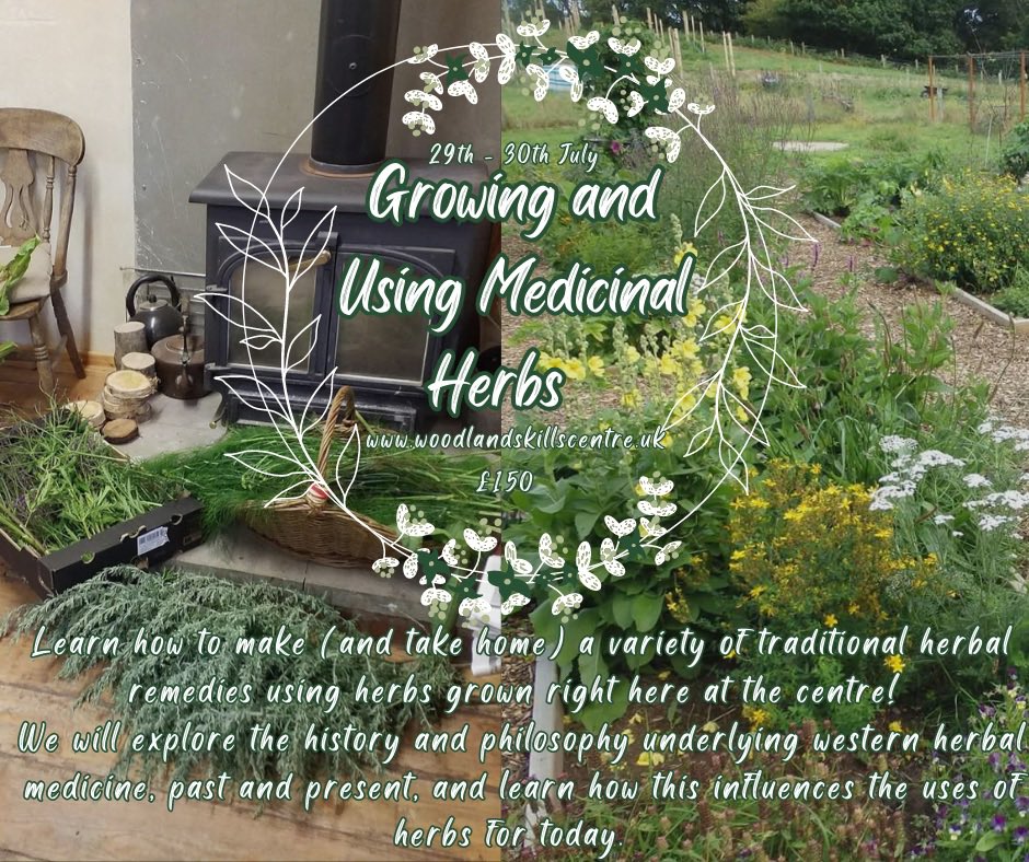 Bodfari2017's tweet photo. Growing and using Medicinal herbs! Come learn and take home your own remedies!🪴🫙 #woodlandskillscentre #medicinalherbs #herbalism https://t.co/8UVfywdHKM