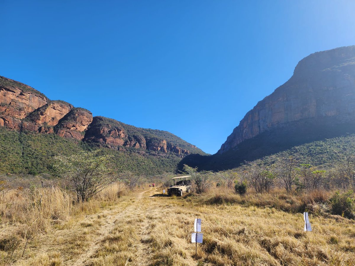 Robyn_Jane89's tweet photo. Thank you @runningmann100 for an excellent recommendation of the Big Five Marathon! Grueling descent and climb but an amazing experience https://t.co/j2Bd43G2so