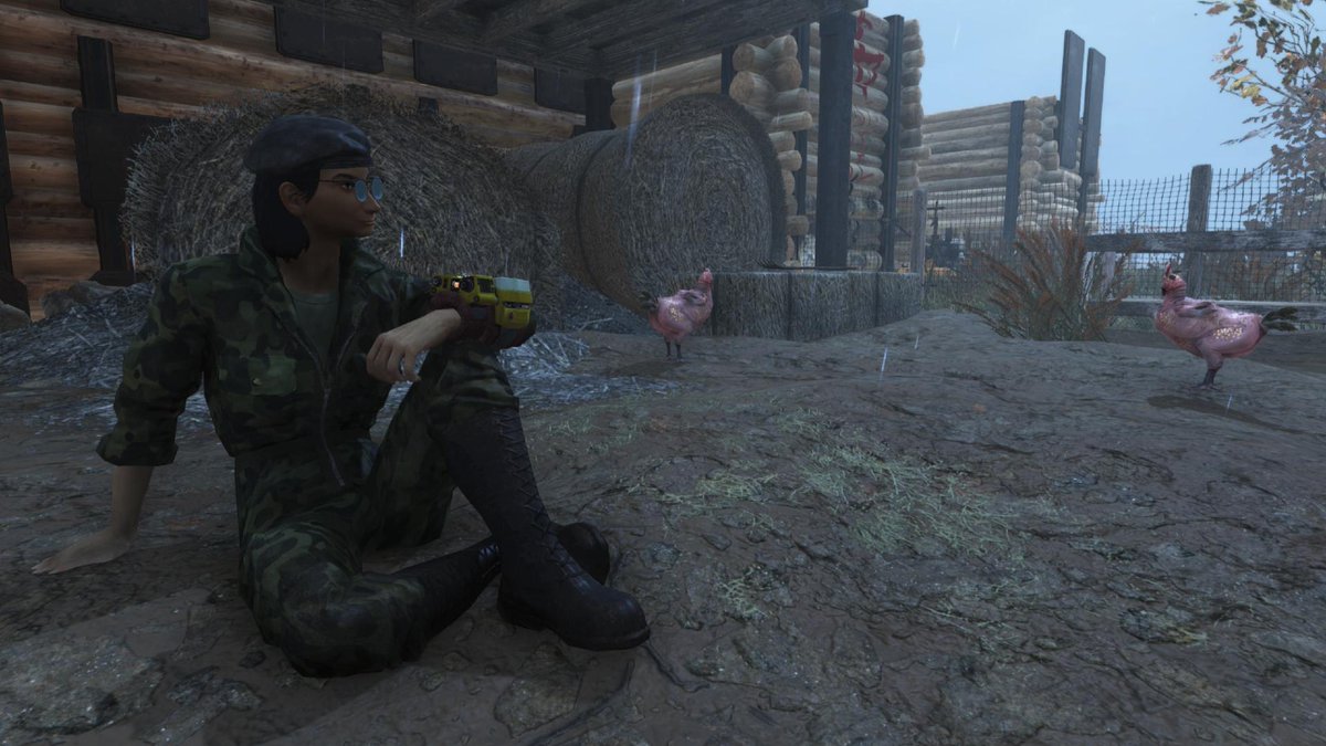 PorqueQuince's tweet image. Thankfully, nobody else nearby killed the Foundation chickens.

#PS5Share
#Fallout76
#MutationInvasion
