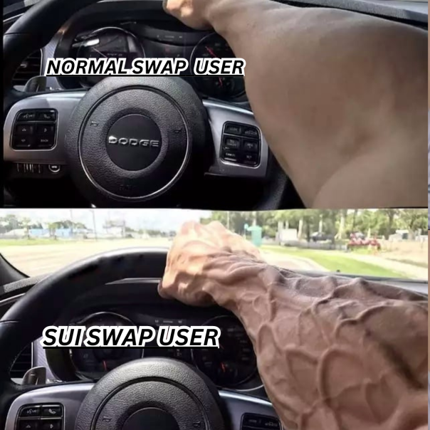 subhojit63🐐 | BaySwap tweet media