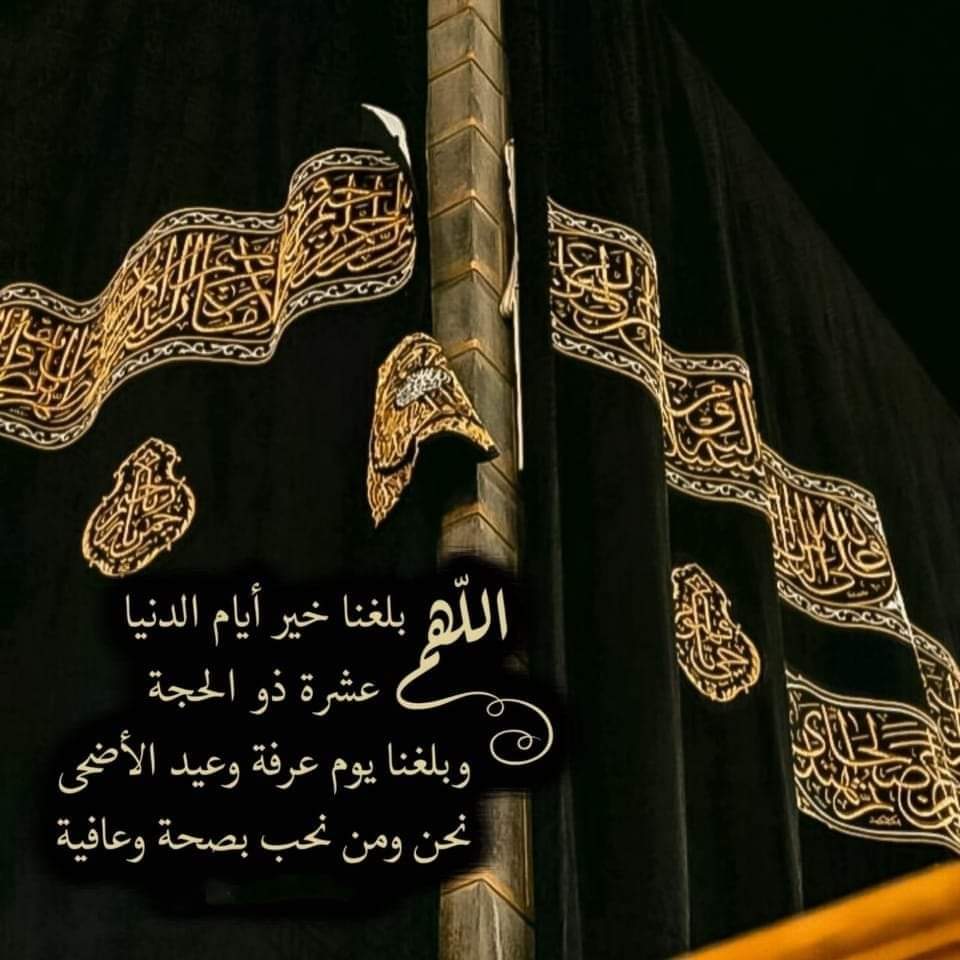 هشام محمد tweet media