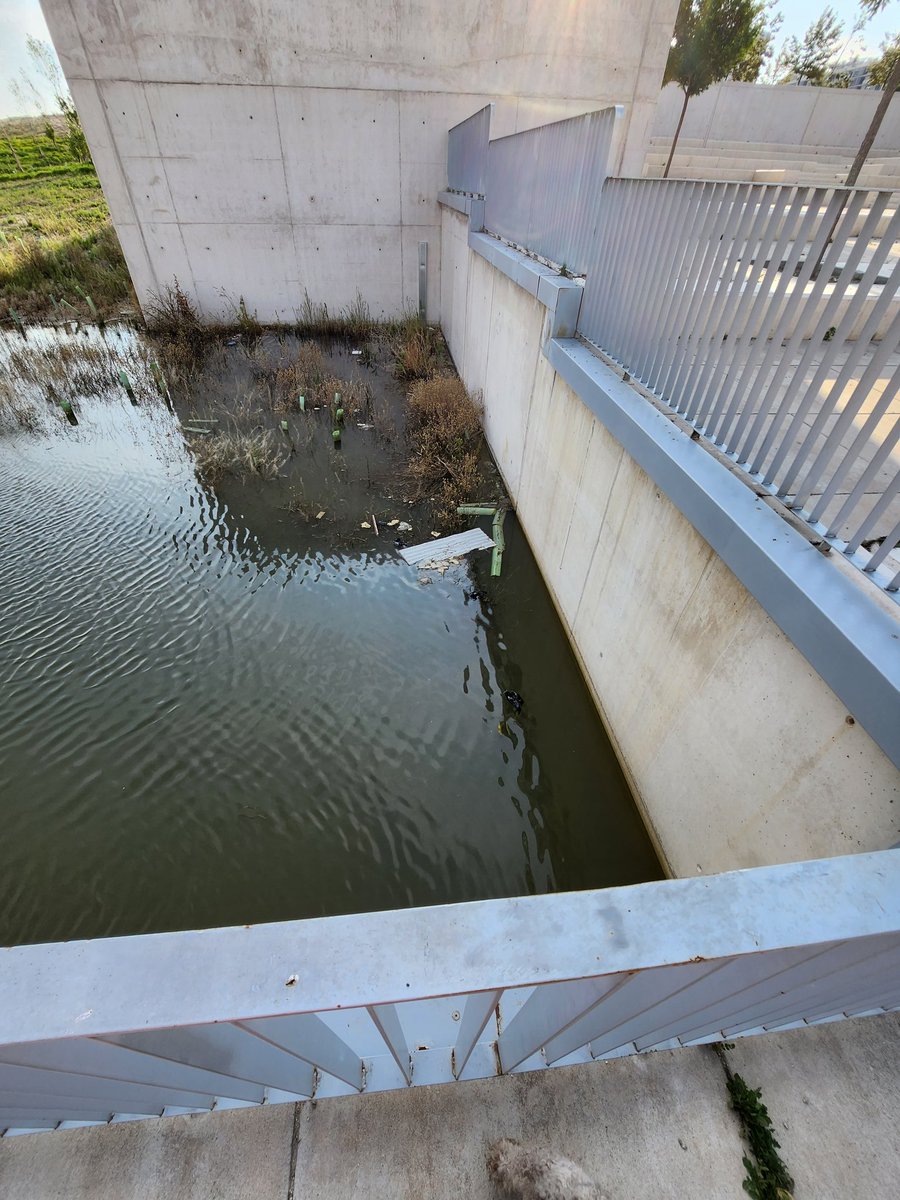 Qikekique's tweet photo. @Lineamadrid @Valdebebas @AVValdebebas Hola! En uno de los laterles del "lago" (el que queda a la altura de M. de las mercedes de Borbon 110) del parque Inf. Leonor se acumula basura y varios pájaros muertos, hay alguna forma de limpiarlo? Gracias! https://t.co/jrckTcH0mF