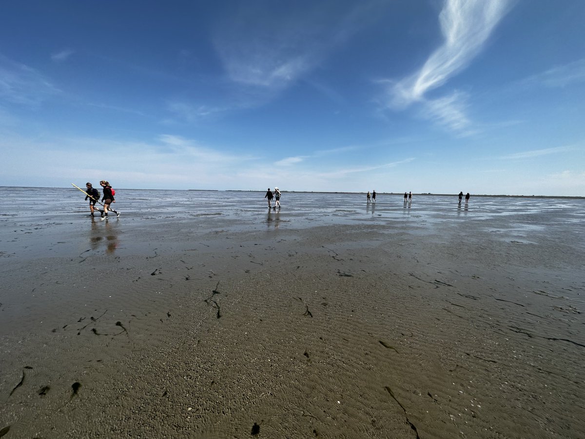 RUIMTEVOLK tweet media