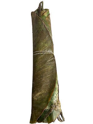 Surely people are not leaving their yard in trousers that look like ewe leaves.