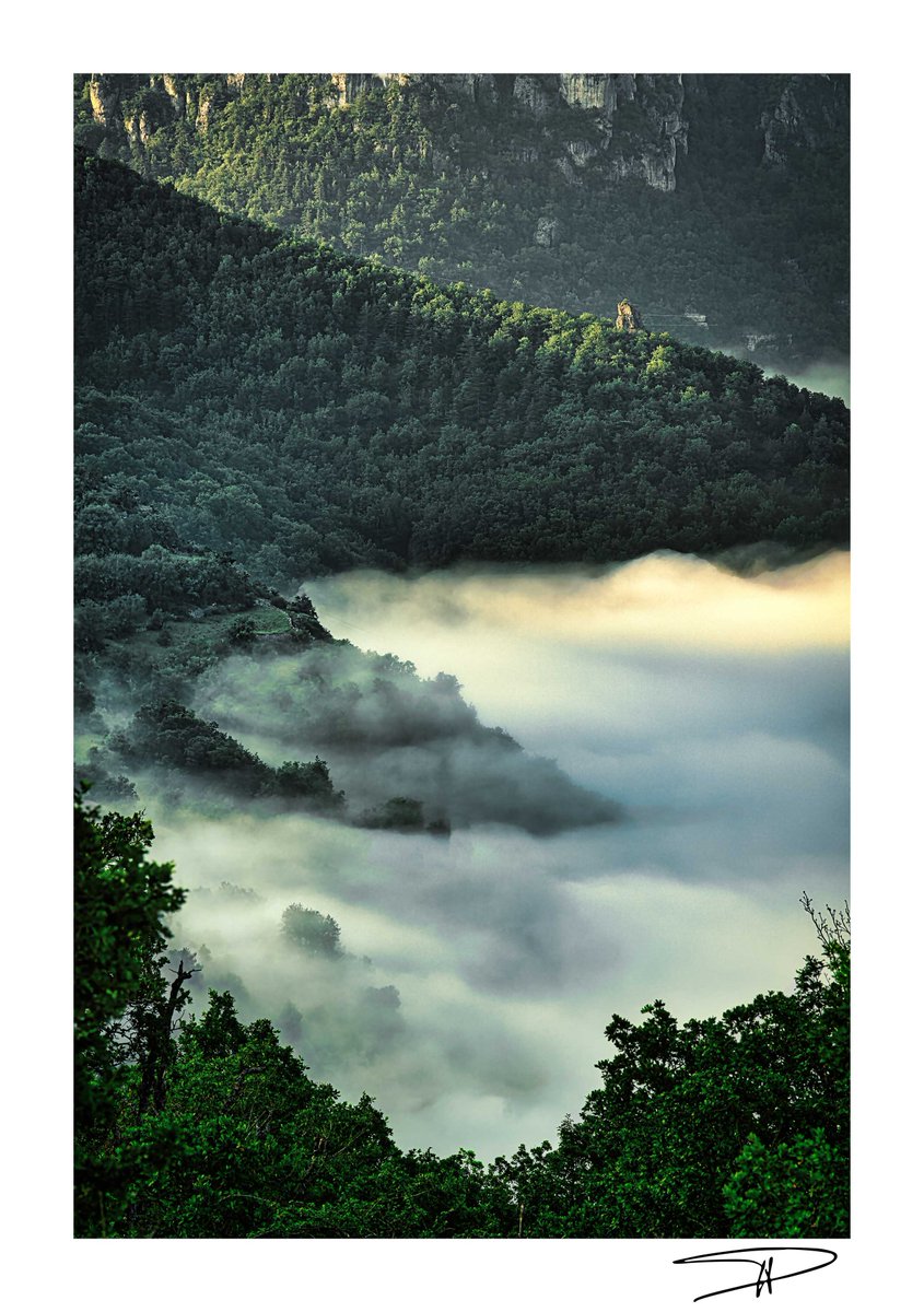 Au dessus de la brume...
#Dourbie #Aveyron #Occitanie   
16 juin 2023