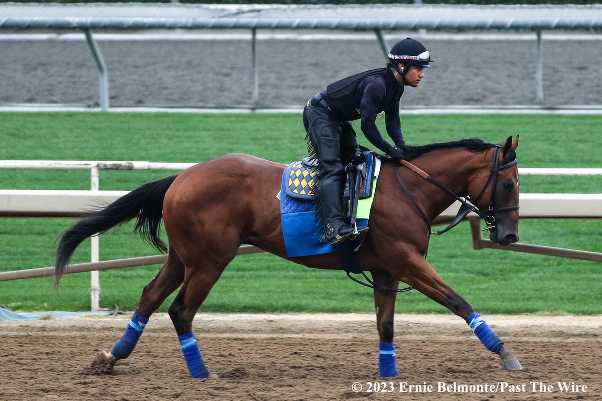 Muth gets maiden broken in the debut under @JJHernandezS19 for Hall of Fame trainer Bob Baffert.