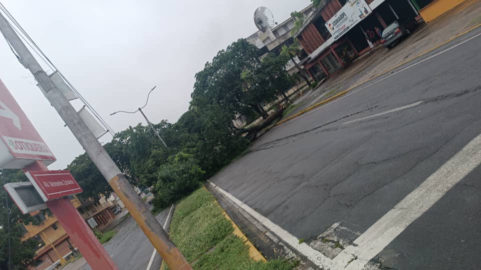 MalvadoElvis's tweet photo. #URGENTE
Árbol de gran tamaño caído en Av. Las Américas, diagonal a pastelería chiquitos, el mismo ocupa toda la calle.
Se hace el llamado autoridades para hacer presencia.
#Pzo #18Jun #Lluvias https://t.co/Le2E156OZF