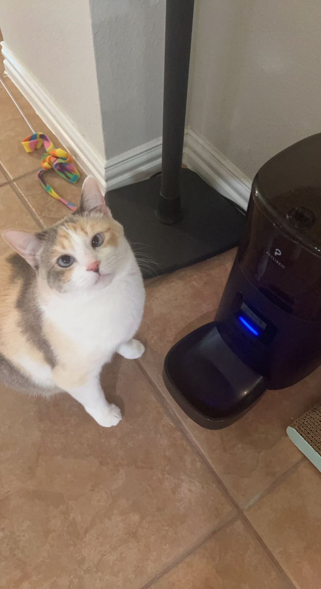 fatfatpankocat's tweet photo. Why is it empty https://t.co/EypYbZDr1T