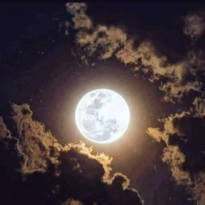 Versatiliando's tweet photo. @atlantasauna @BananashotPTR
Te trae una noche , lujuria , placer , desenfreno , sexo y muchas sorpresas más . Que no y lo cuenten. 
#agendabananas 
@DaniM_XXX 
@casona_swinguer
@eventosvm
@isazagarcia8
@medellingrindr1
@eventosgaymed
@paisitaDM
@cutelatinoboy97
@crusingcabinas https://t.co/zjUzVIpL6L
